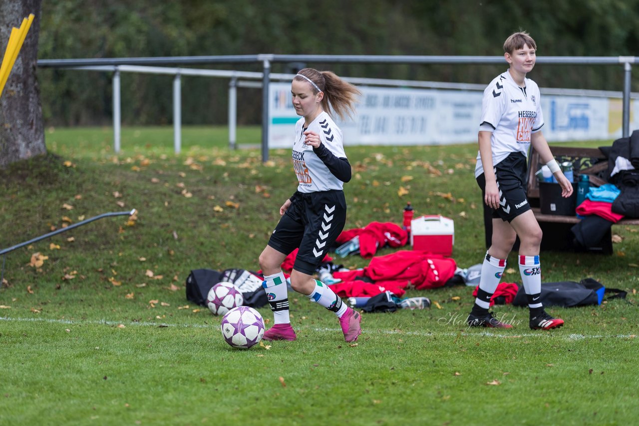 Bild 79 - B-Juniorinnen SV Henstedt Ulzburg - Hamburger SV : Ergebnis: 2:3